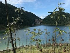 -武陵山森林公园