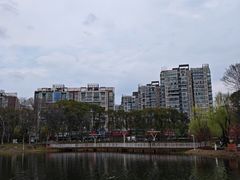 -新江湾城公园