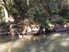 -兰亭风景区