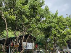-晓雯人家
