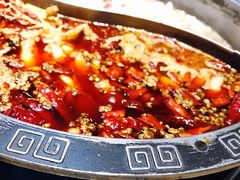 -销魂美蛙鱼头火锅(上海首店)