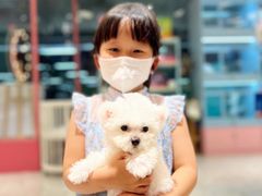 -FAELING PETS美天灵宠物(合生汇店)
