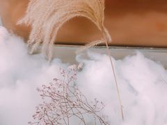 -青山研究所Aoyama Lab