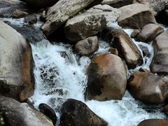 -海南热带雨林国家公园吊罗山景区