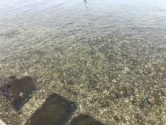 -台场海滨公园船码头