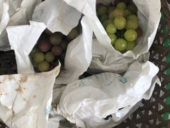 -美家乐农庄·露营·团建(大治路店)