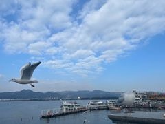 -海埂大坝