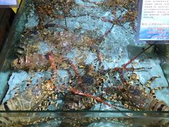 -渔民新村(番禺总店)