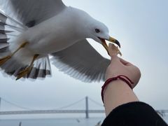 -星海广场