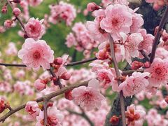 -静安雕塑公园