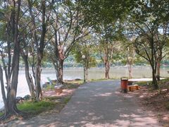 -三水森林公园