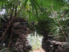 -石家庄市植物园