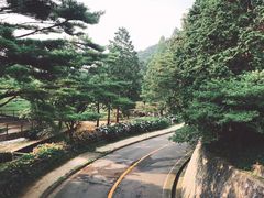 -神户市立六甲山牧场