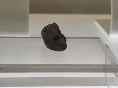 -旅顺博物馆