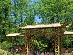 -上海共青森林公园