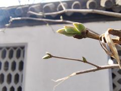 -团结湖公园