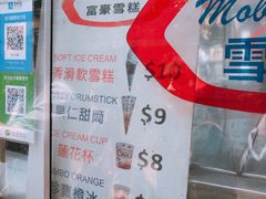 -富豪雪糕车流动点(尖沙咀店)