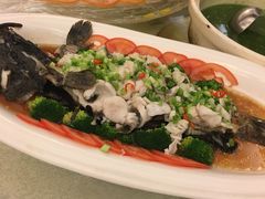 -馨越楼·点心·粤菜(赤坎店)