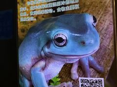 -南京海底世界