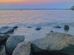 -宝安西湾红树林湿地公园