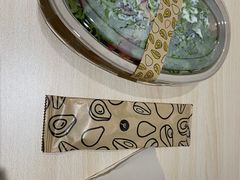 -油梨树AVOCADO TREE(顺义新国展店)
