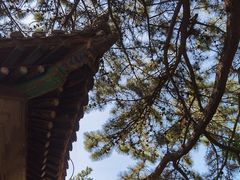 -潭柘寺景区