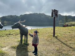 -海南热带雨林国家公园吊罗山景区