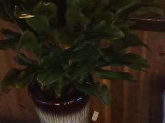 -徽三说·土徽菜·中国徽菜连锁品牌(一中店)