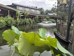 -大门水乡·顺德菜