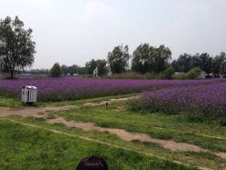 大大的糖摄影-梵初·STUDIO婚纱摄影(通州万达店)