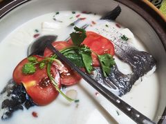 -全乐鱼馆·淳牌有机鱼直营店