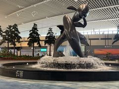 -青岛胶东国际机场