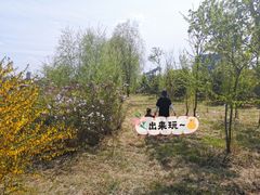 -枫叶小镇奥特莱斯