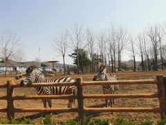 -大连森林动物园