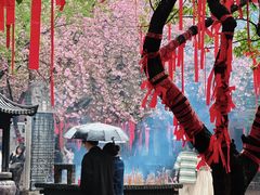 -西安青龙寺遗址景区