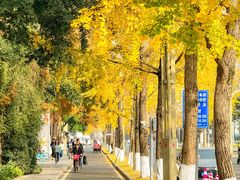 -四川大学(望江校区)