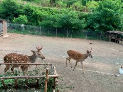 -北京山里寒舍度假酒店