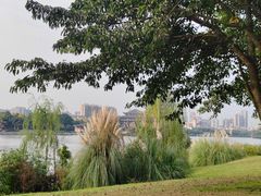 -眉山湿地公园(东坡区)