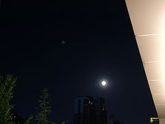 -翠贝卡&Mama Kelly Brunch Coffee(河西店)