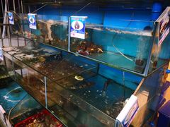 -Sasa的海(蜈支洲岛后海店)