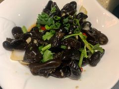凉拌黑木耳-润泽园椰子鸡(汇一城店)