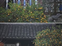 -胡雪岩故居