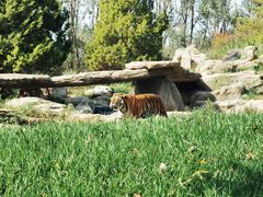 -北京野生动物园