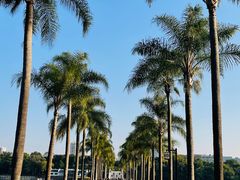 -南宁南湖公园