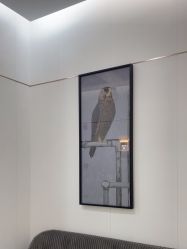 -AIST爱思特医疗美容医院