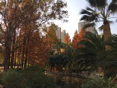 -苏州河梦清园环保主题公园