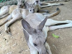 -宁波野生动物园