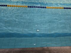 -FLARE STAR FITNESS(复地活力城店)