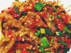 -壹盏灯(惠农店)