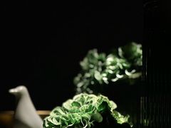 -索拉古贝(义乌北苑店)